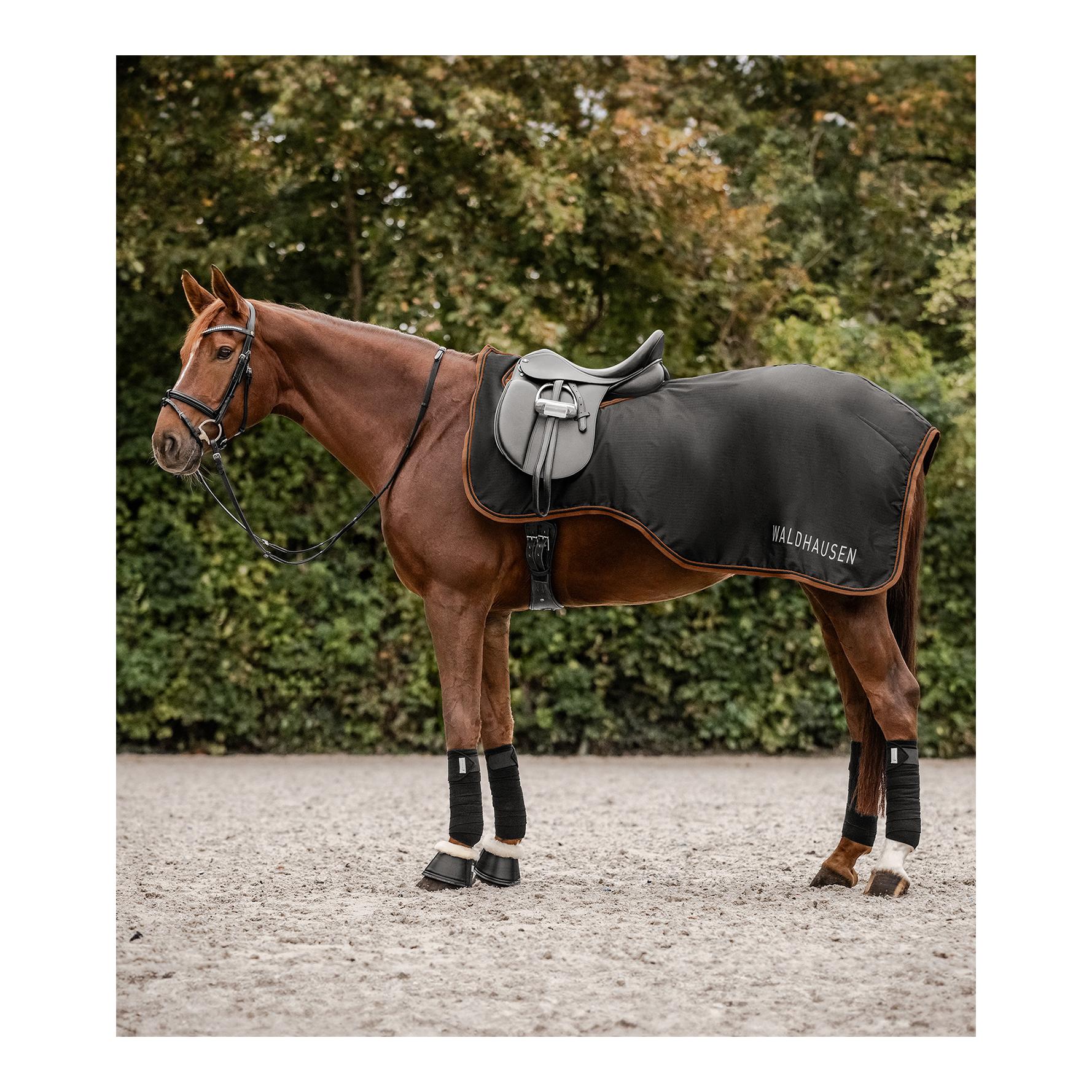 Waldhausen Regenset Regenmantel Dover Damen + Regen Ausreitdecke Perth 50g
