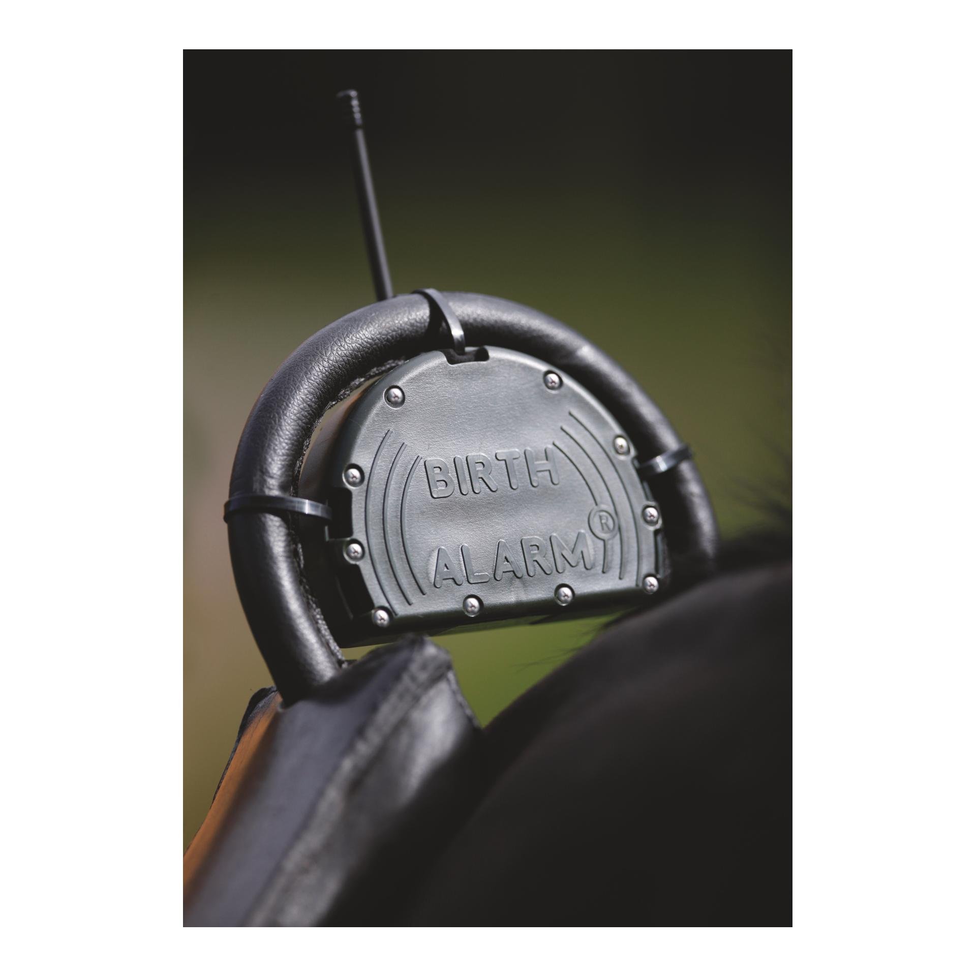 Birth Alarm Set - Birth Alarm Classic komplett