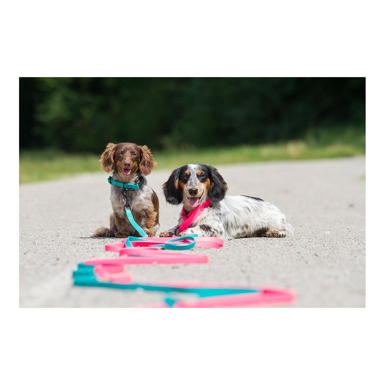 Treusinn. Schleppleine Biothane STAY