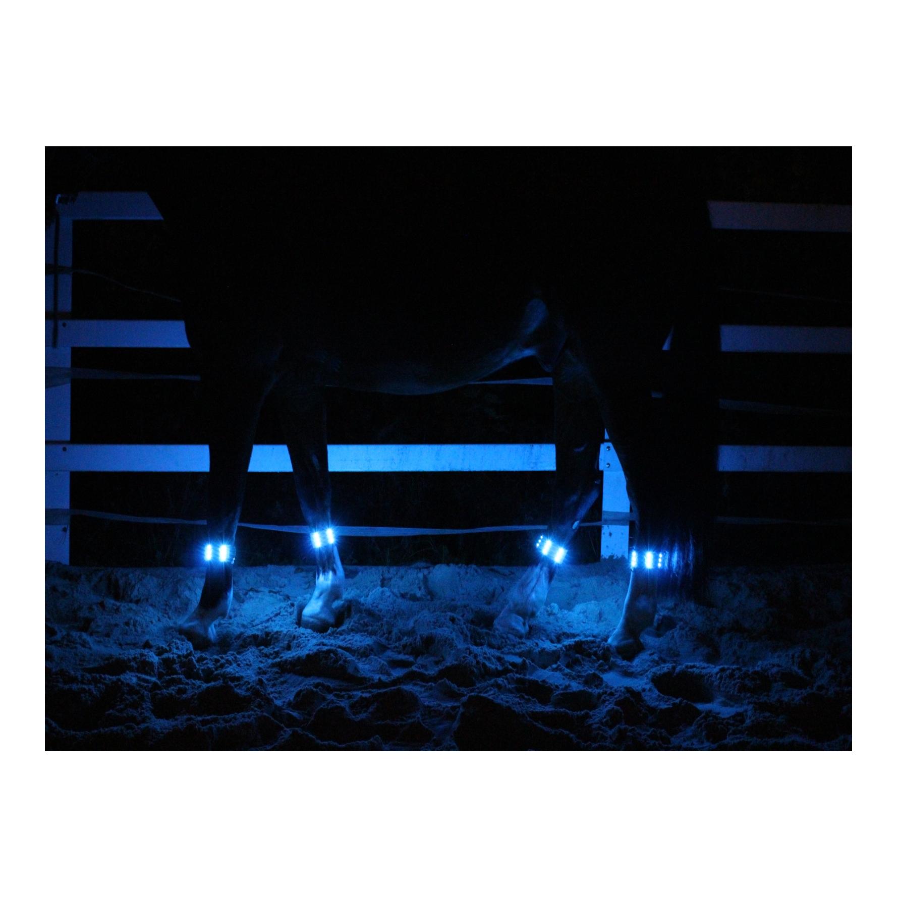 Bleu