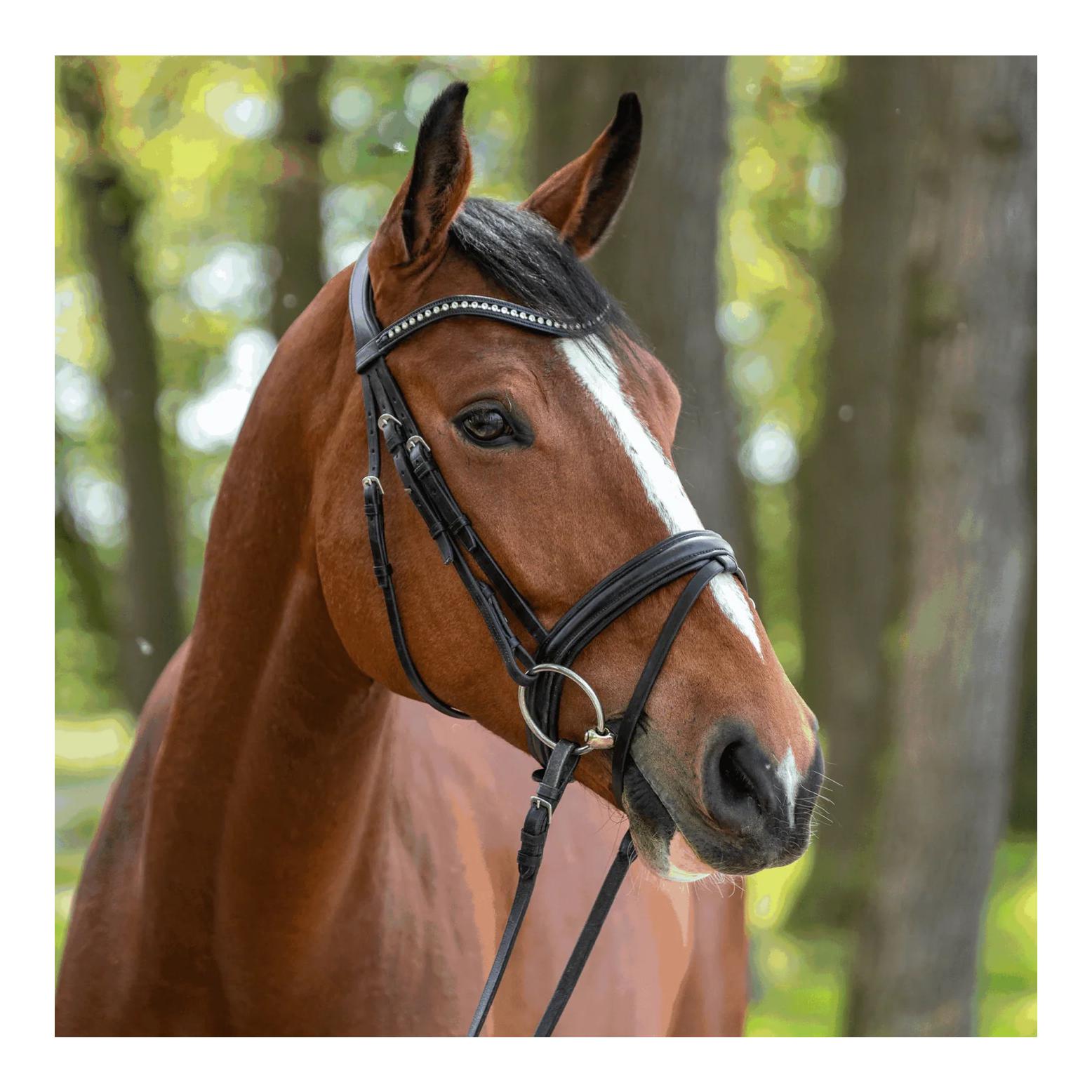 Sprenger WH ULTRA soft 16 mm - Sensogan