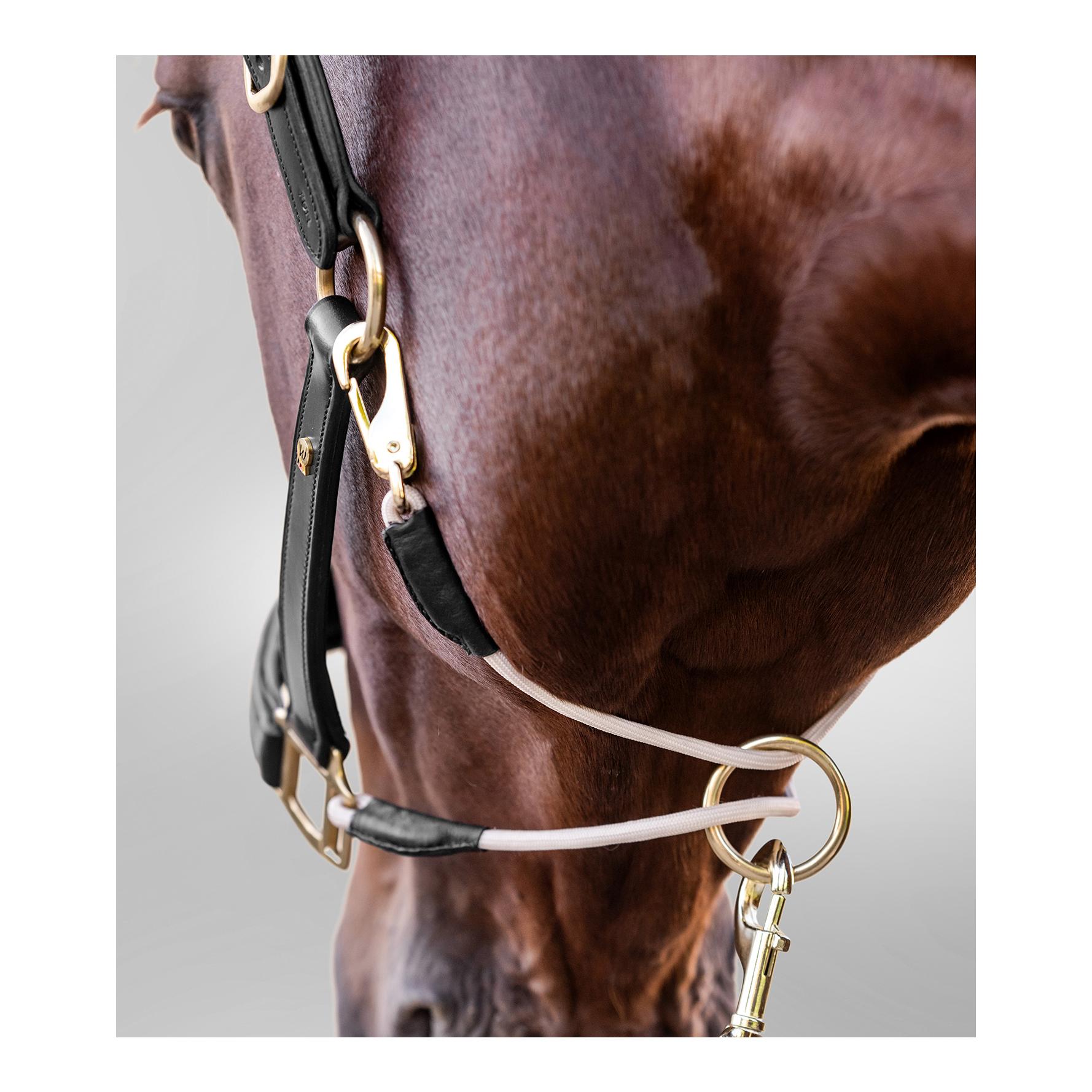 Lederhalfter S-Line Royal