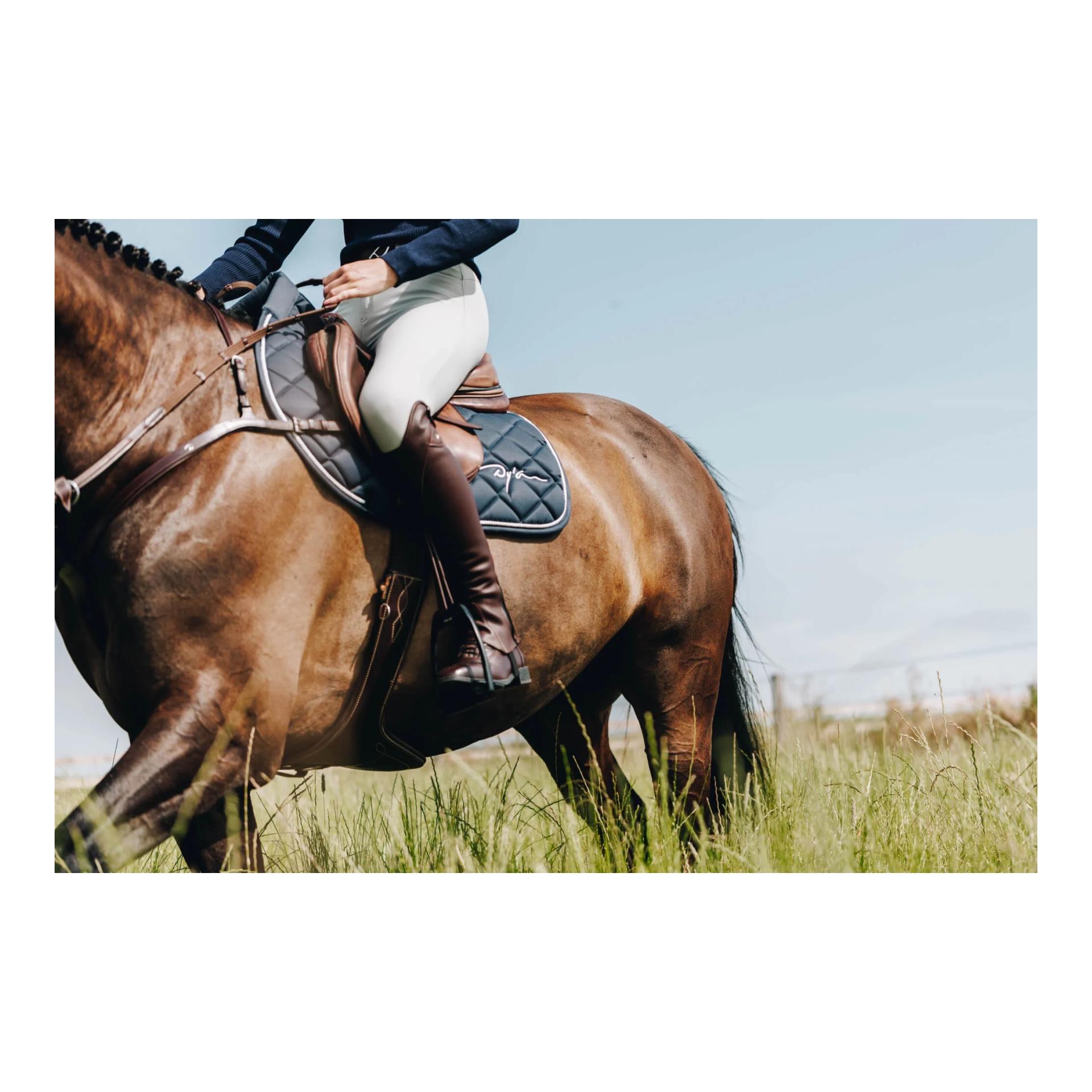 Chaps Comfort Classic Standard Chaps Comfort Classic Standard