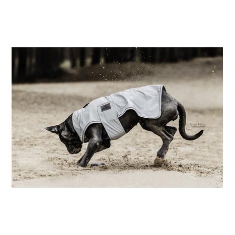 Hunde Regenjacke Hunde Regenjacke