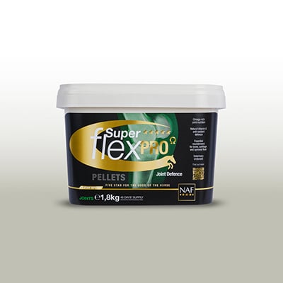 RS-KAT-Bewegungsapparat