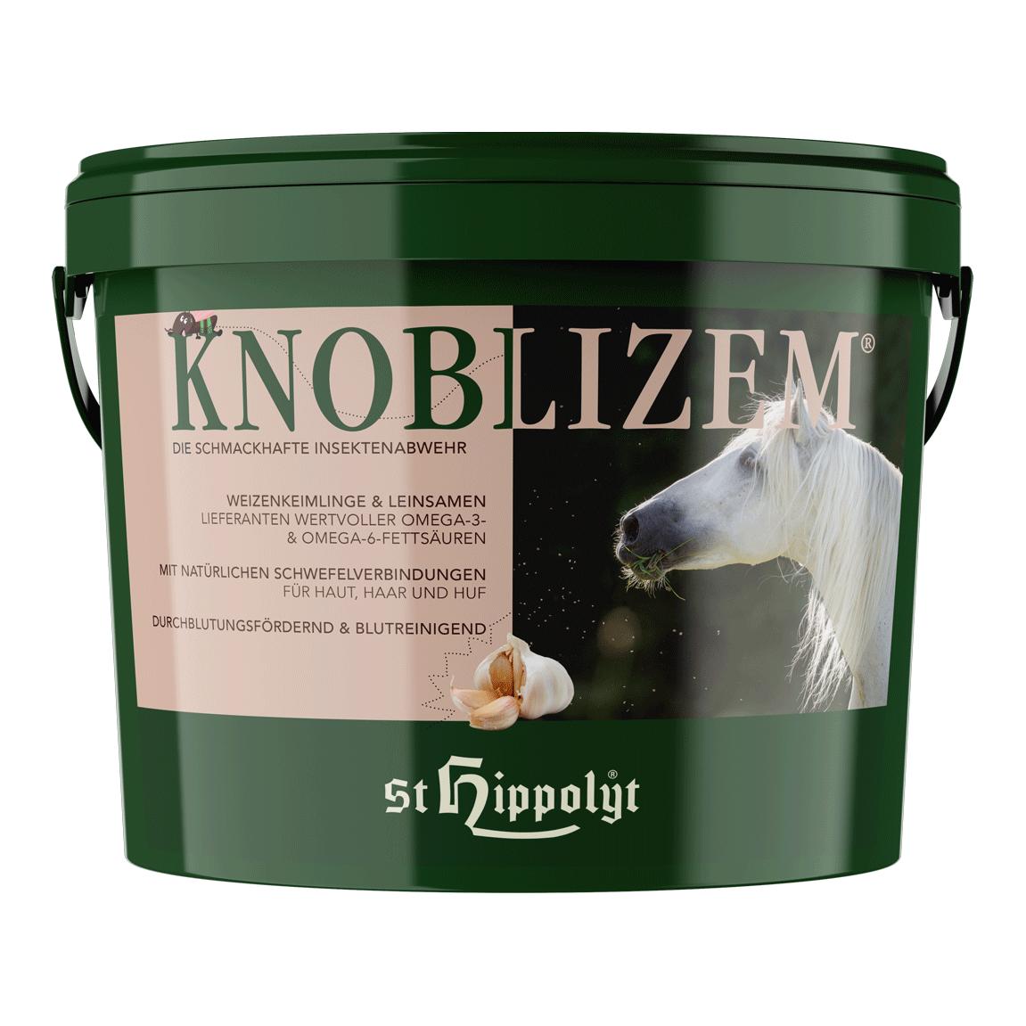 Knoblizem
