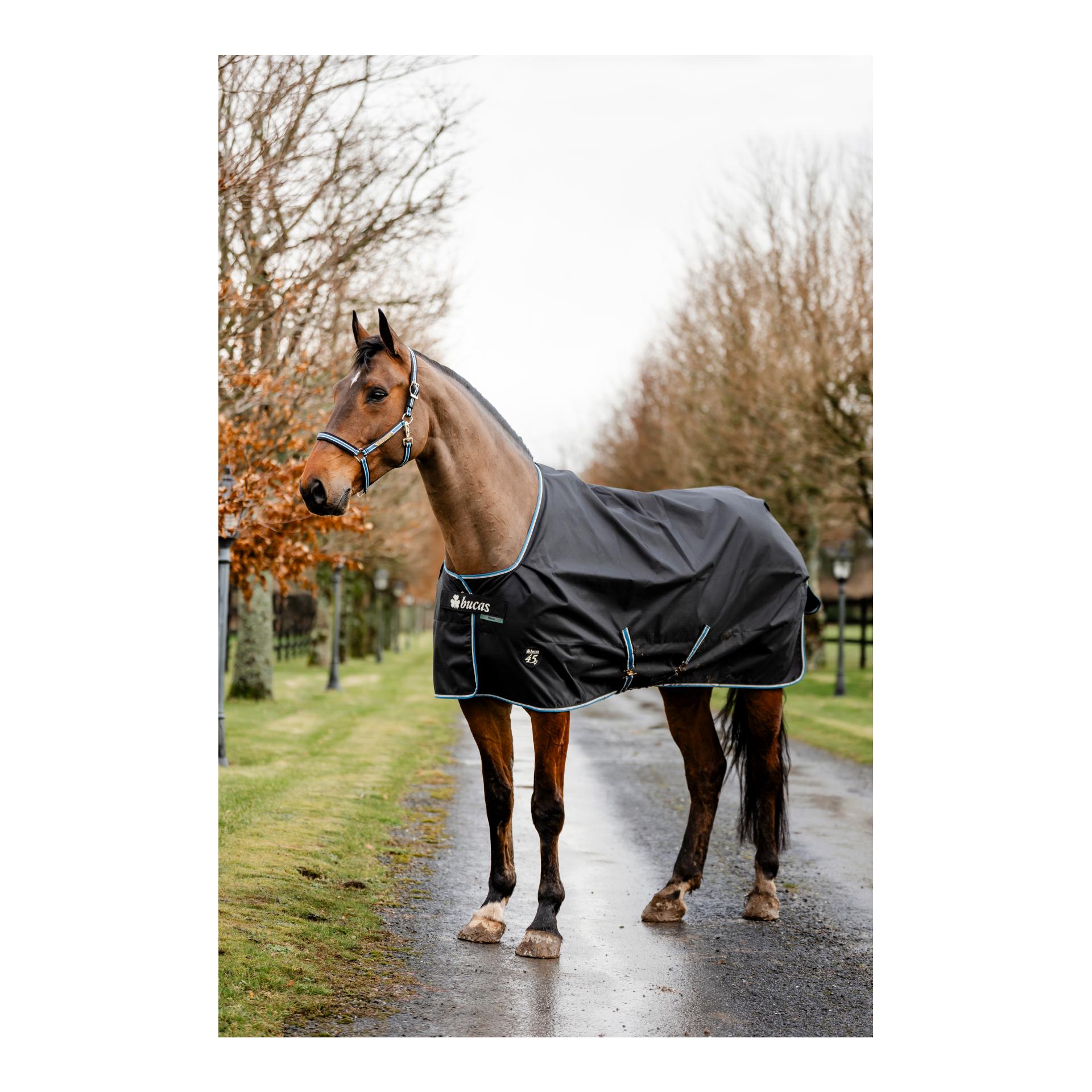 Bucas Couverture de pré Anniversary Turnout Light SD 0g