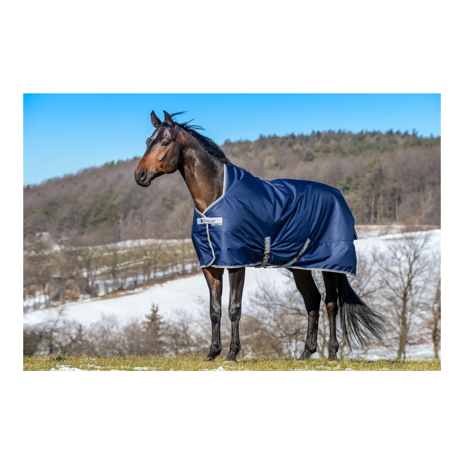 Weidedecke Freedom Turnout High Neck Light - navy/silver Weidedecke Freedom Turnout High Neck Light - navy/silver