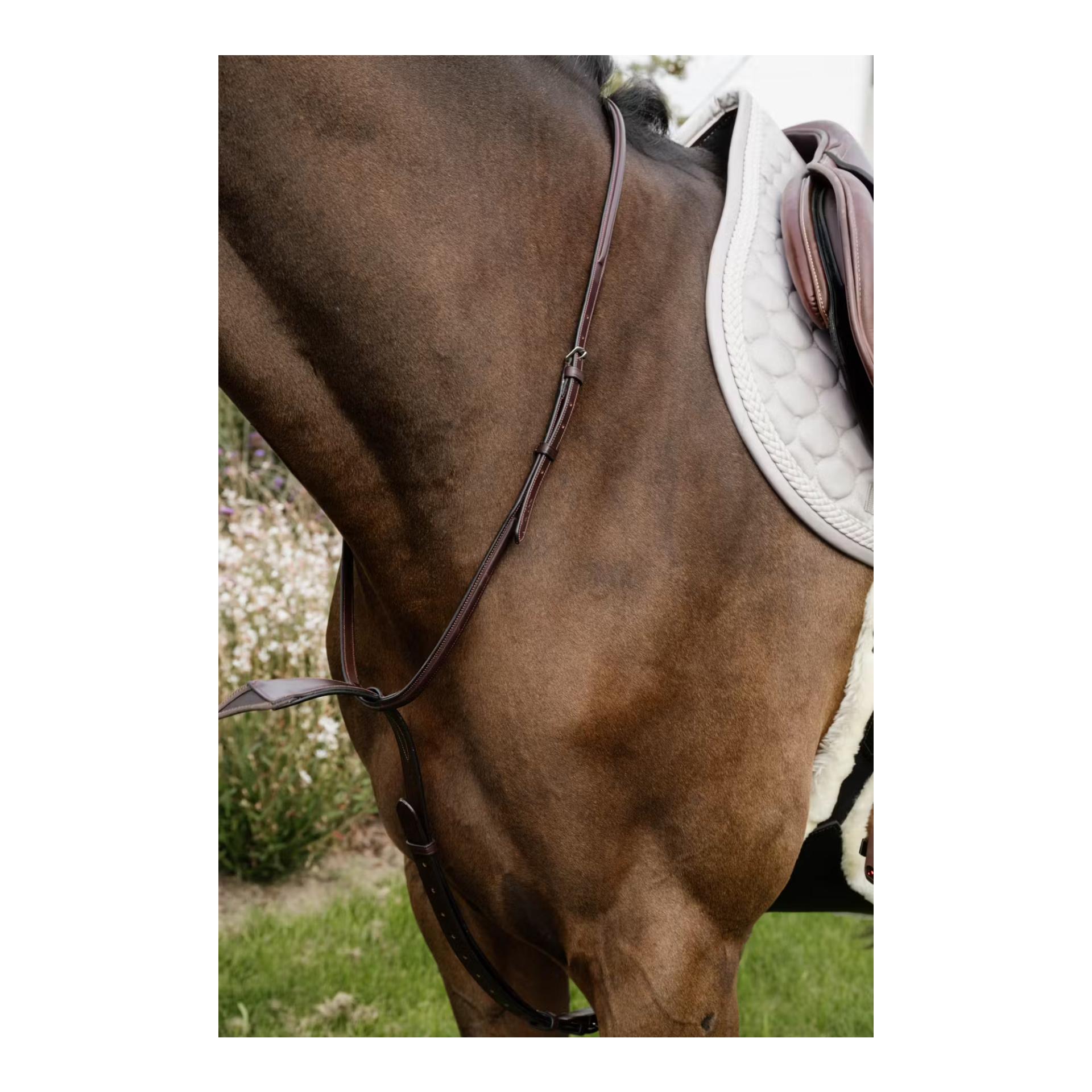 Elastische Bib-Martingal Elastische Bib-Martingal