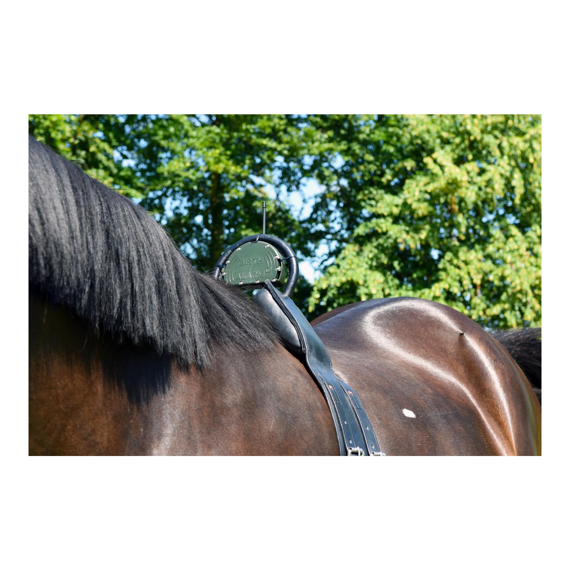 Birth Alarm Birth Alarm Classic