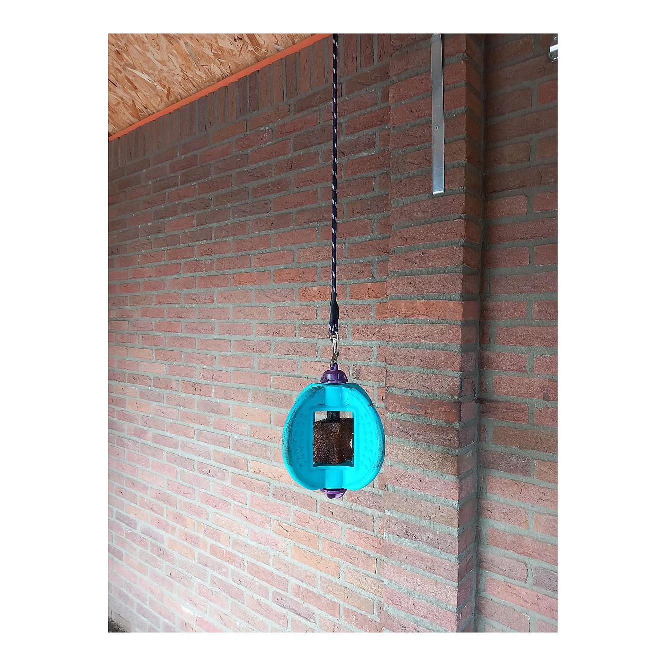 Bizzy Horse Leckstein - Original