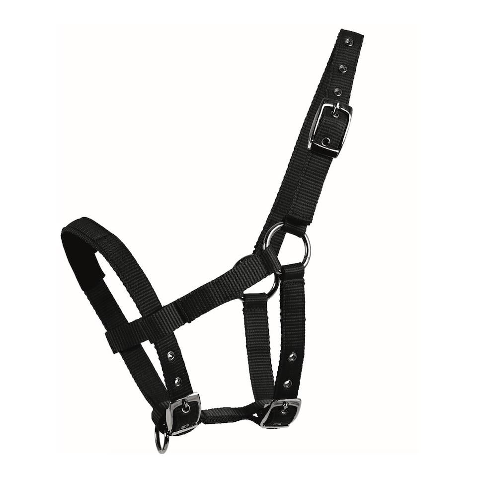 Waldhausen Mini-Shetty Halfter - schwarz