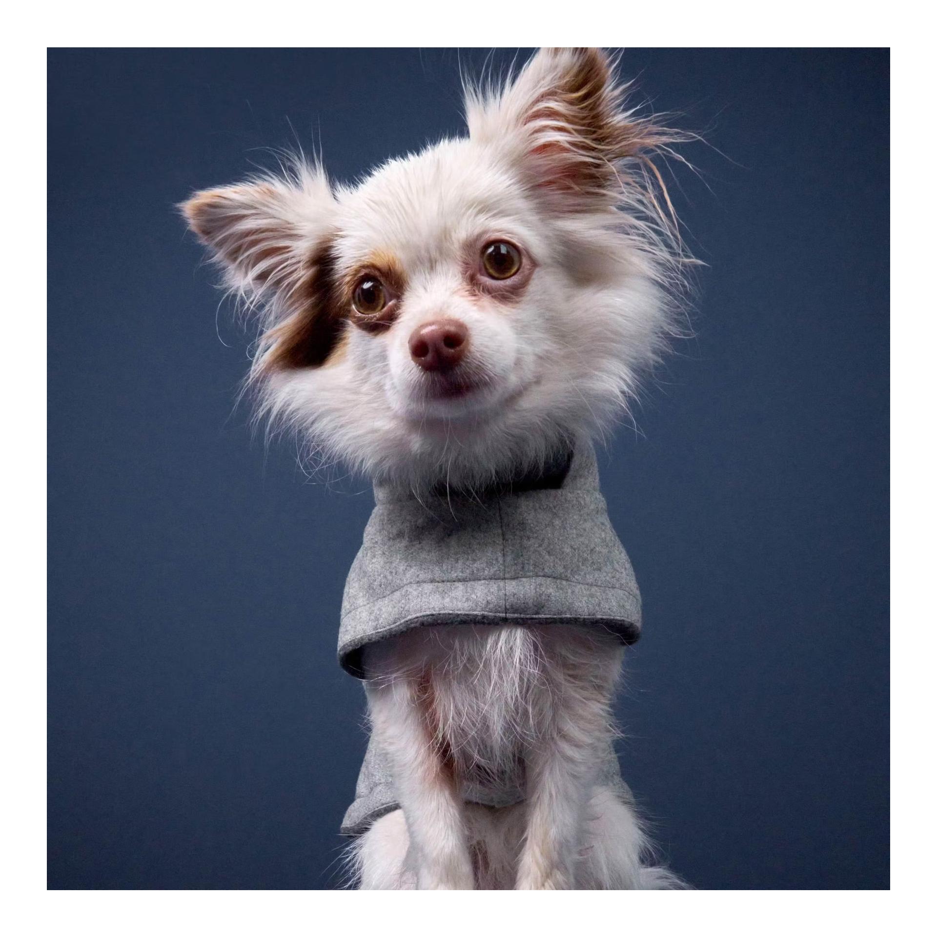 Manteau pour chien Brooklyn Flannel - gris