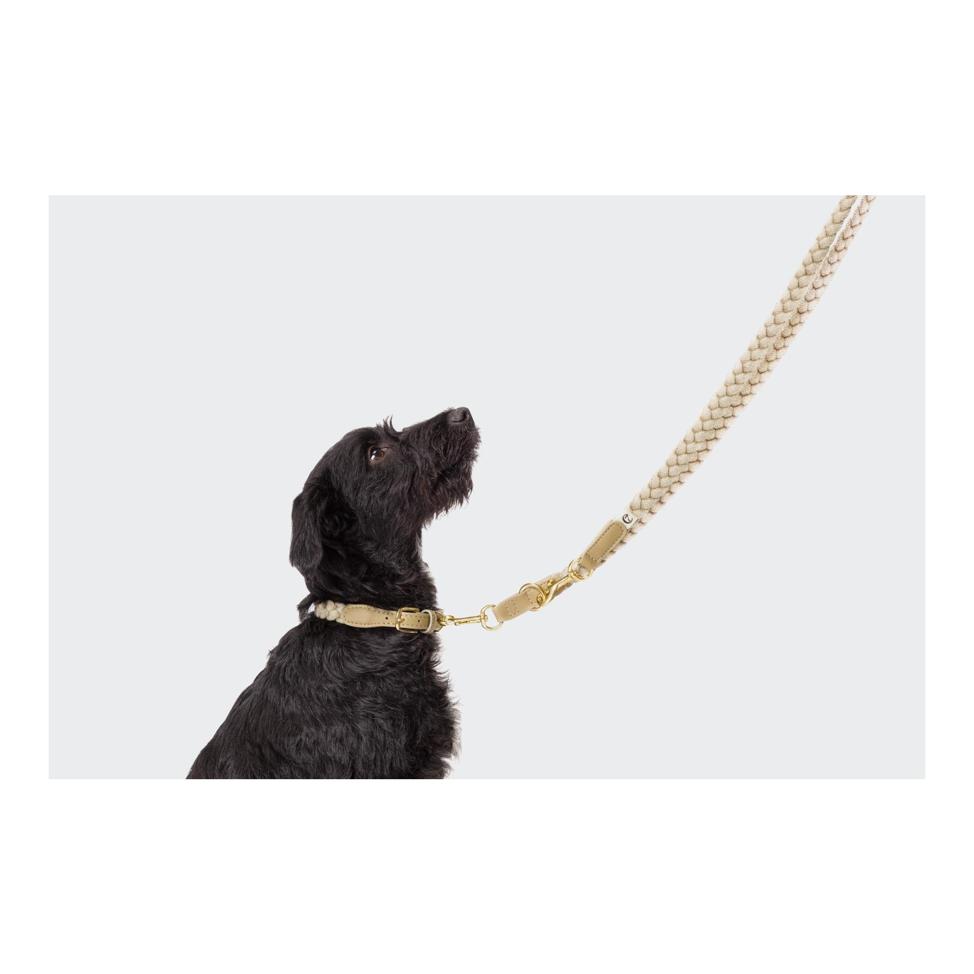 Hundehalsband Blomen Hundehalsband Blomen