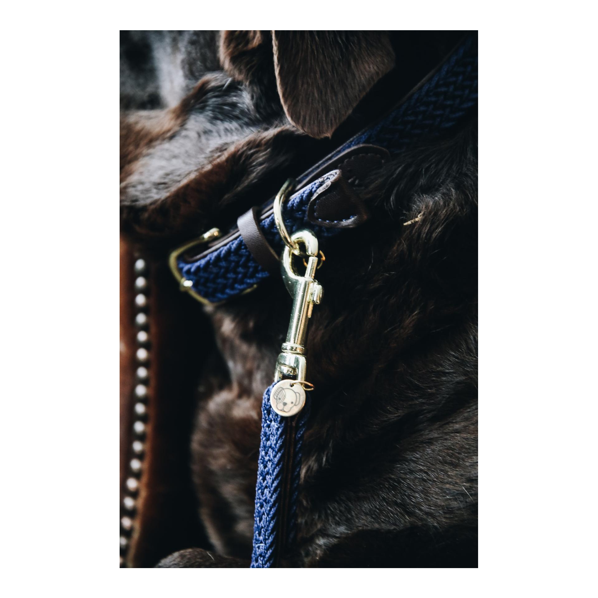 Hundehalsband Nylon geflochten - navy Hundehalsband Nylon geflochten - navy