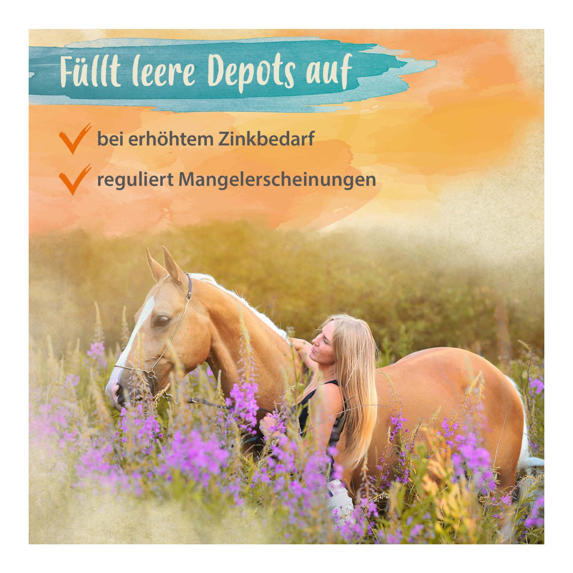 Biotin + Zink für Pferde - hochdosiert - verbessert Hufqualität & Hufwachstum Biotin + Zink für Pferde - hochdosiert - verbessert Hufqualität & Hufwachstum
