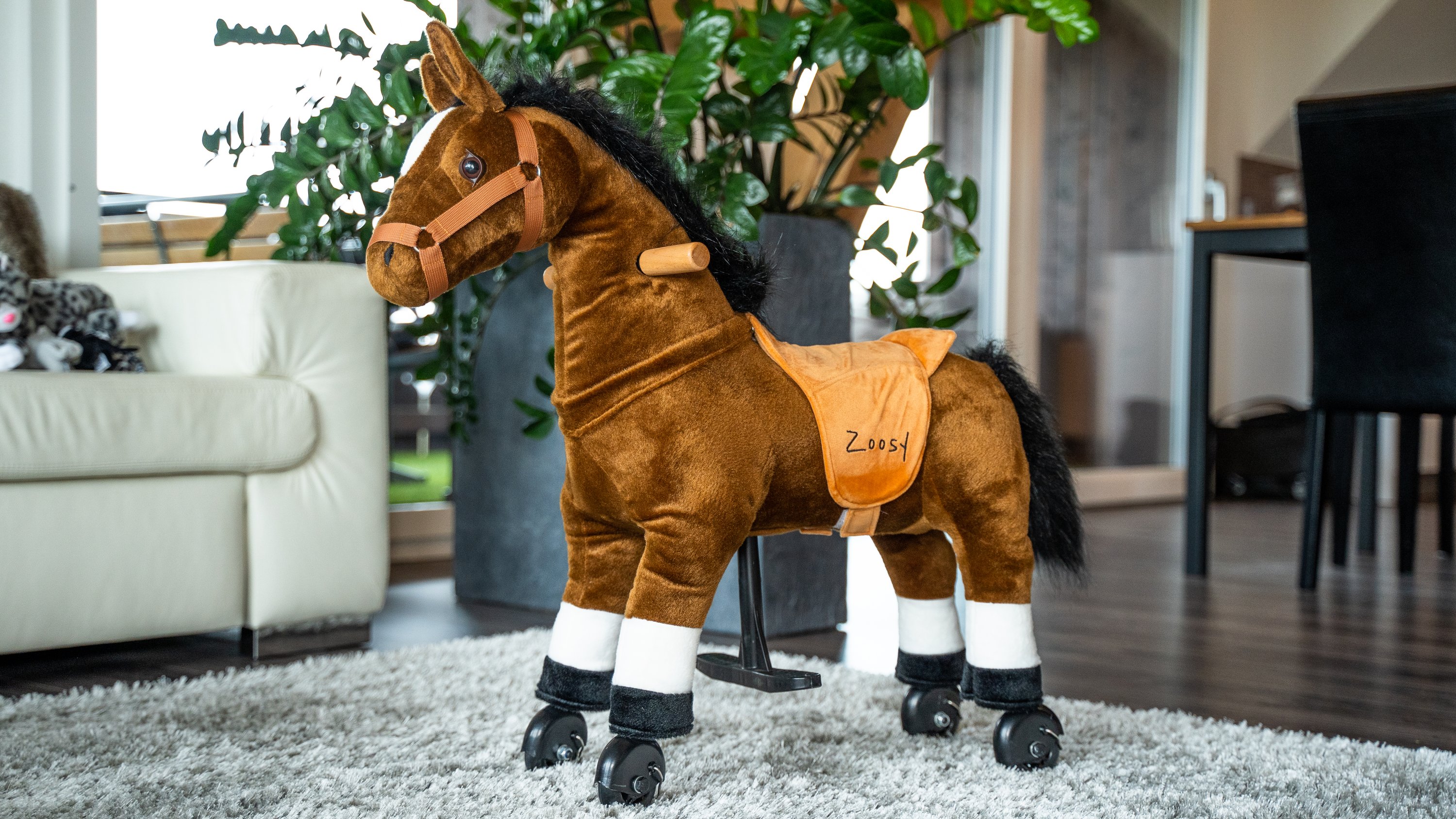 Raidony Pferd