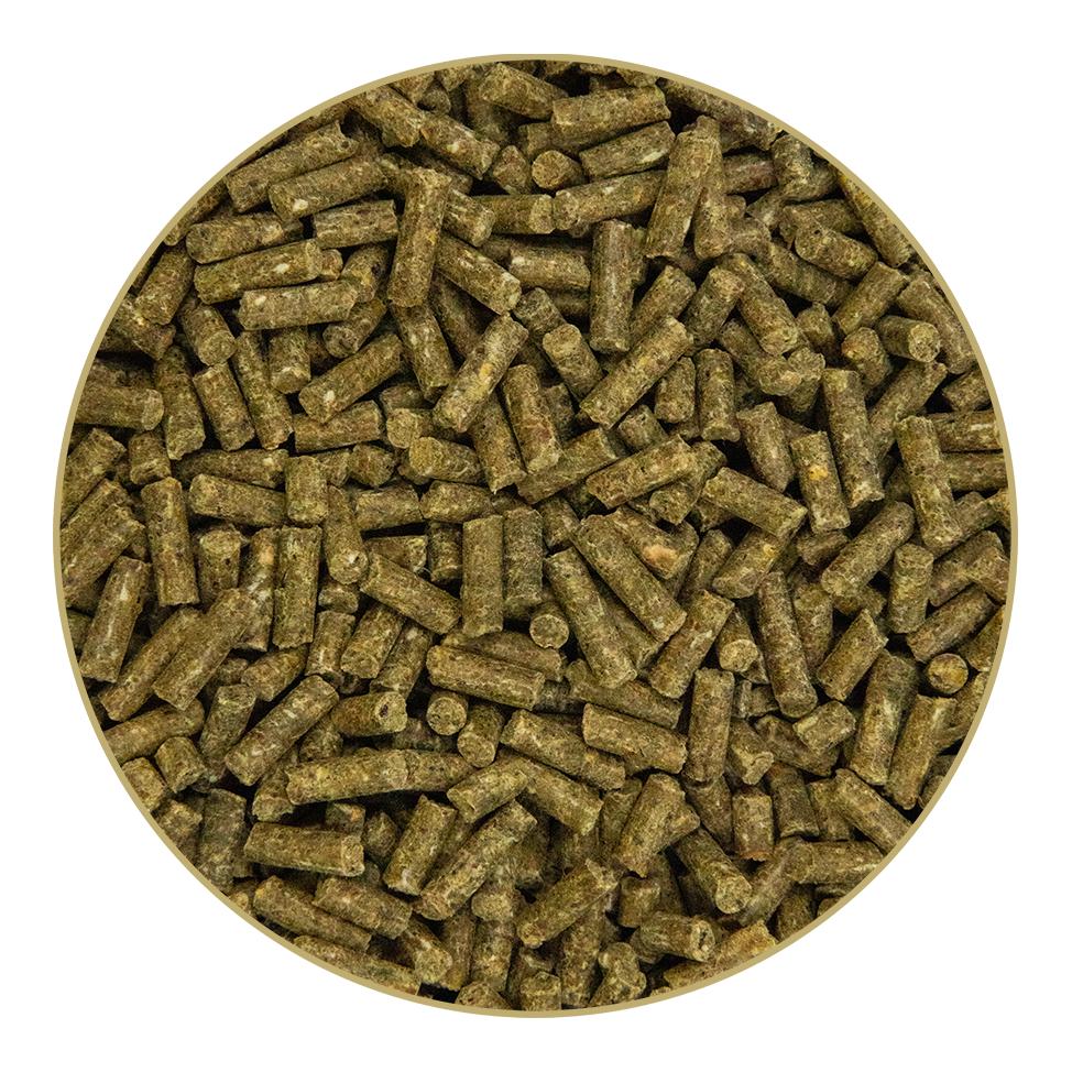 St. Hippolyt Super Condition