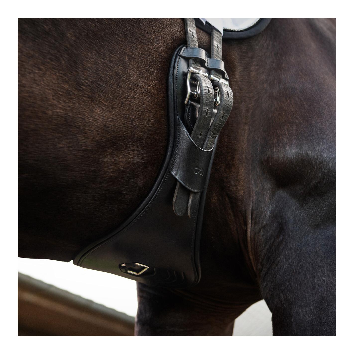 Sattelgurt PerformFree Dressur