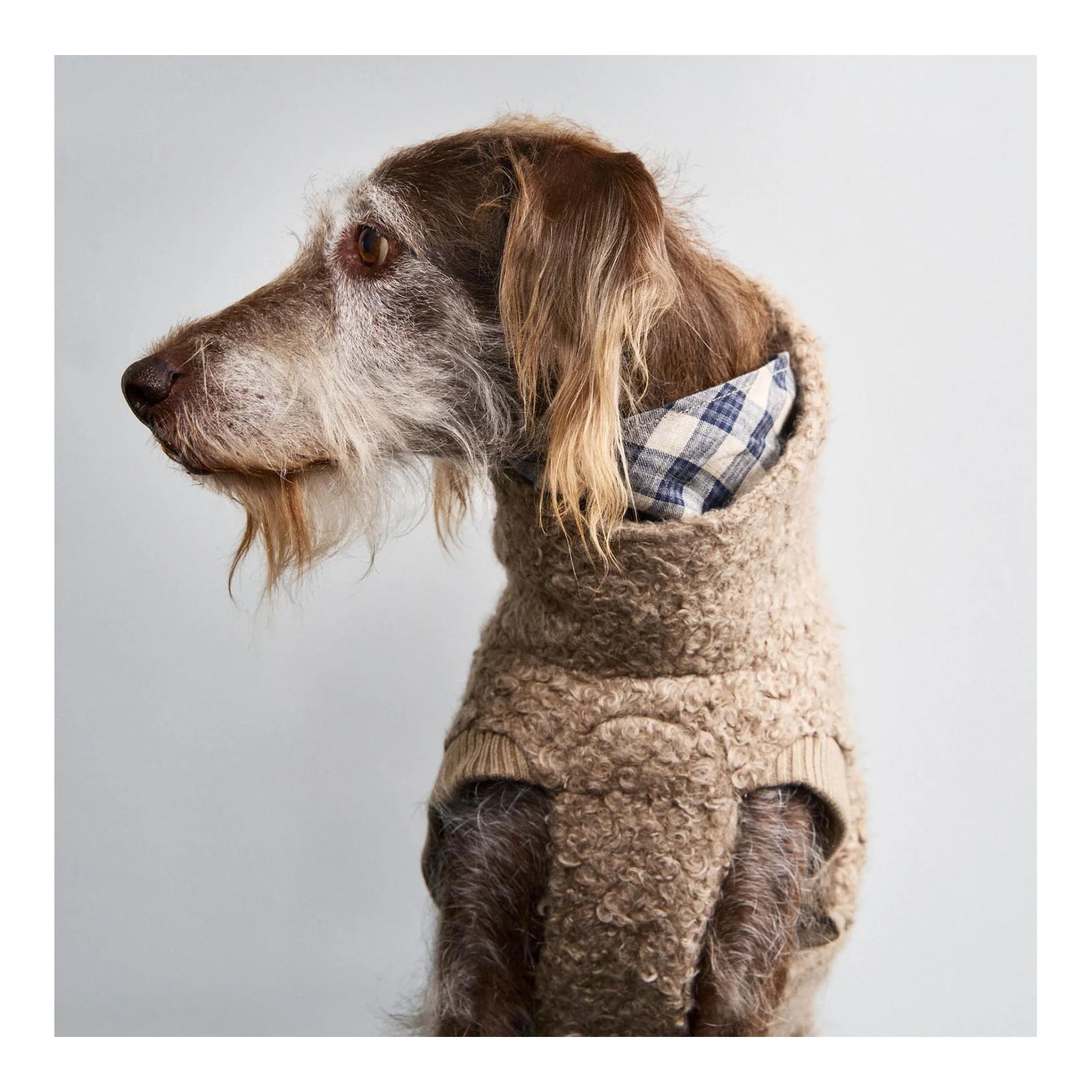 Hundepullover Gotland