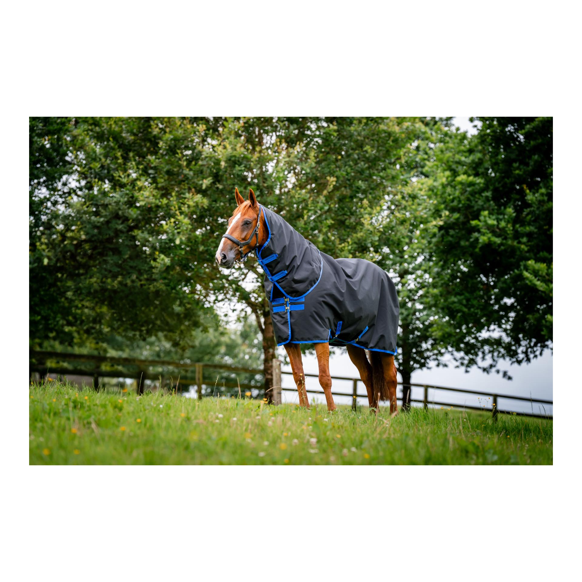 Weidedecke Amigo Ripstop 900D Plus Turnout 0g