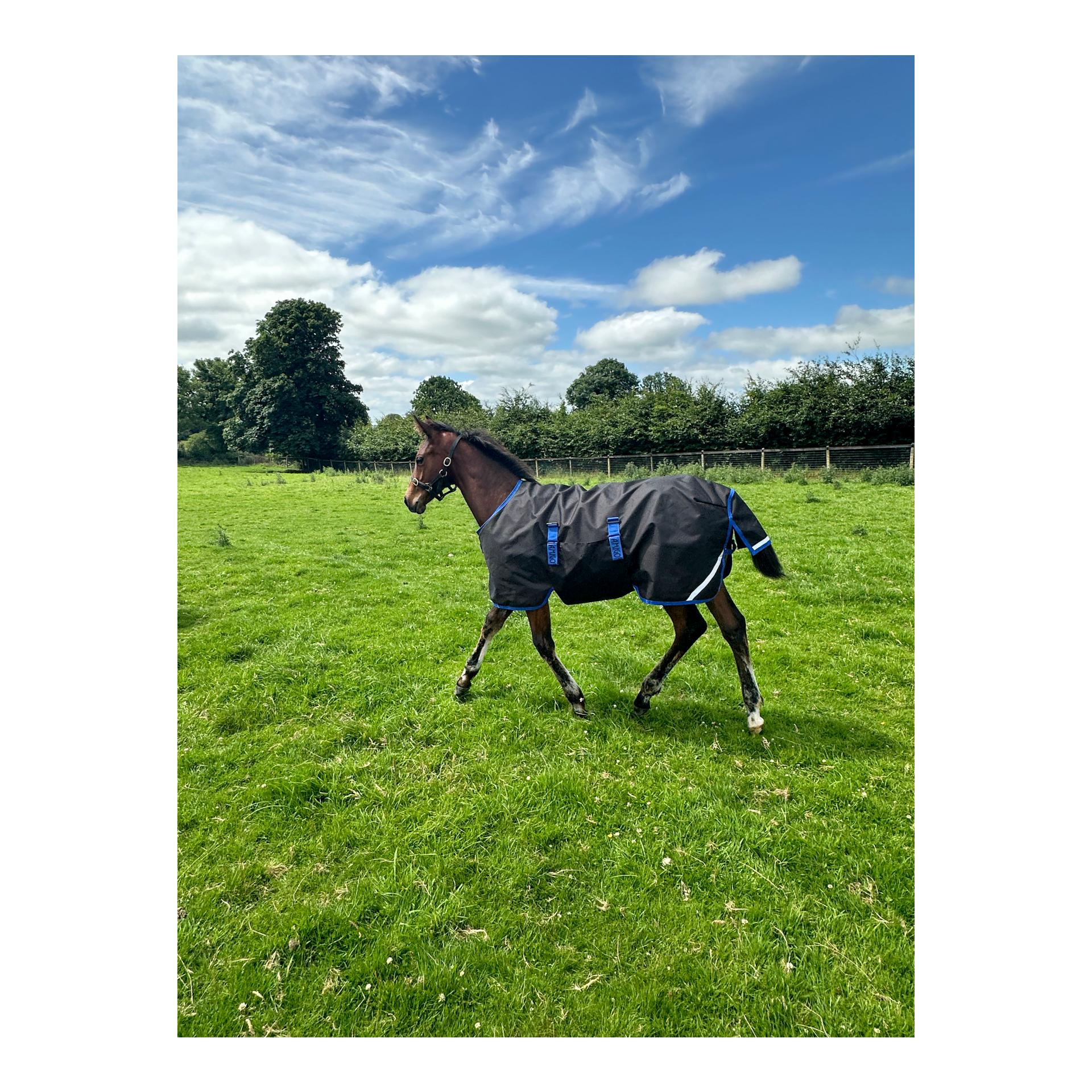 Fohlendecke Amigo Ripstop 900D 50g