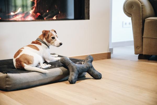 Dog Toy "Bone" - gris