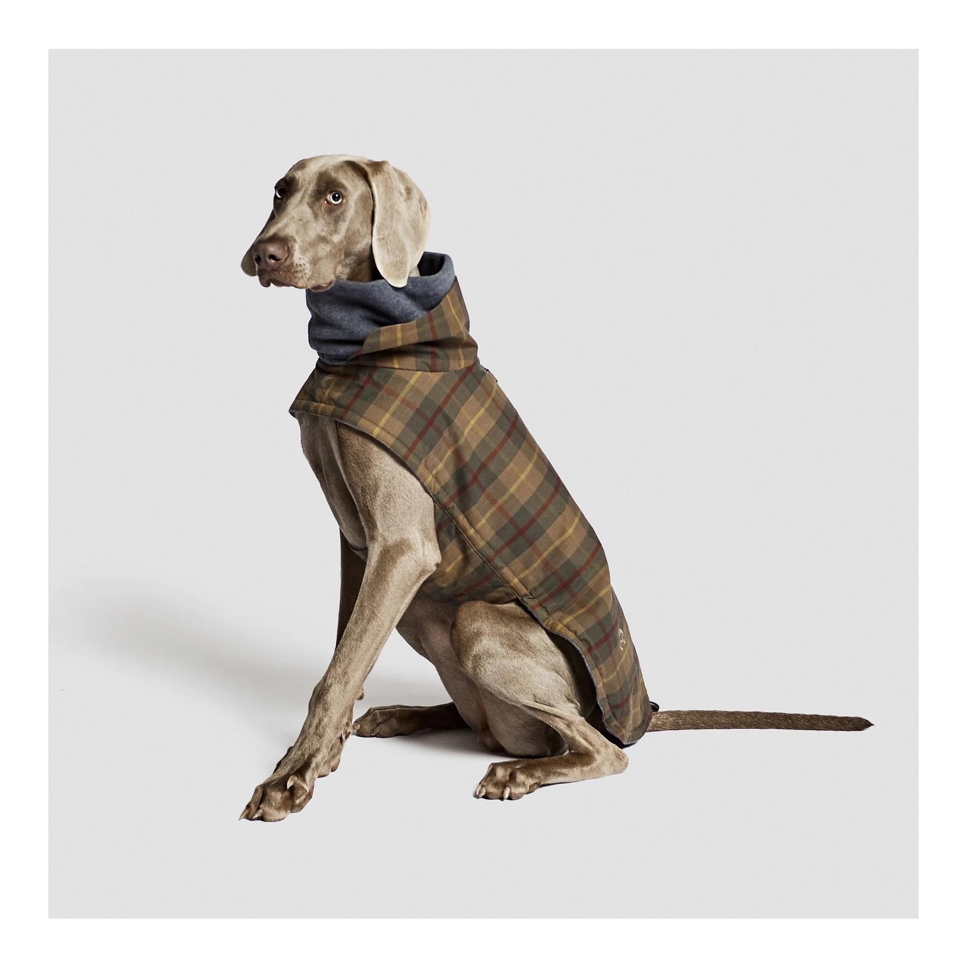 Hundemantel Brooklyn Regulär - waxed tartan
