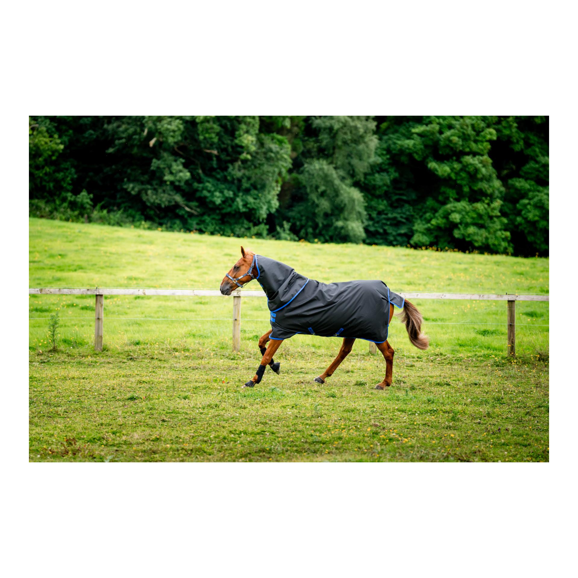 Weidedecke Amigo Ripstop 900 Plus 200g Weidedecke Amigo Ripstop 900 Plus 200g