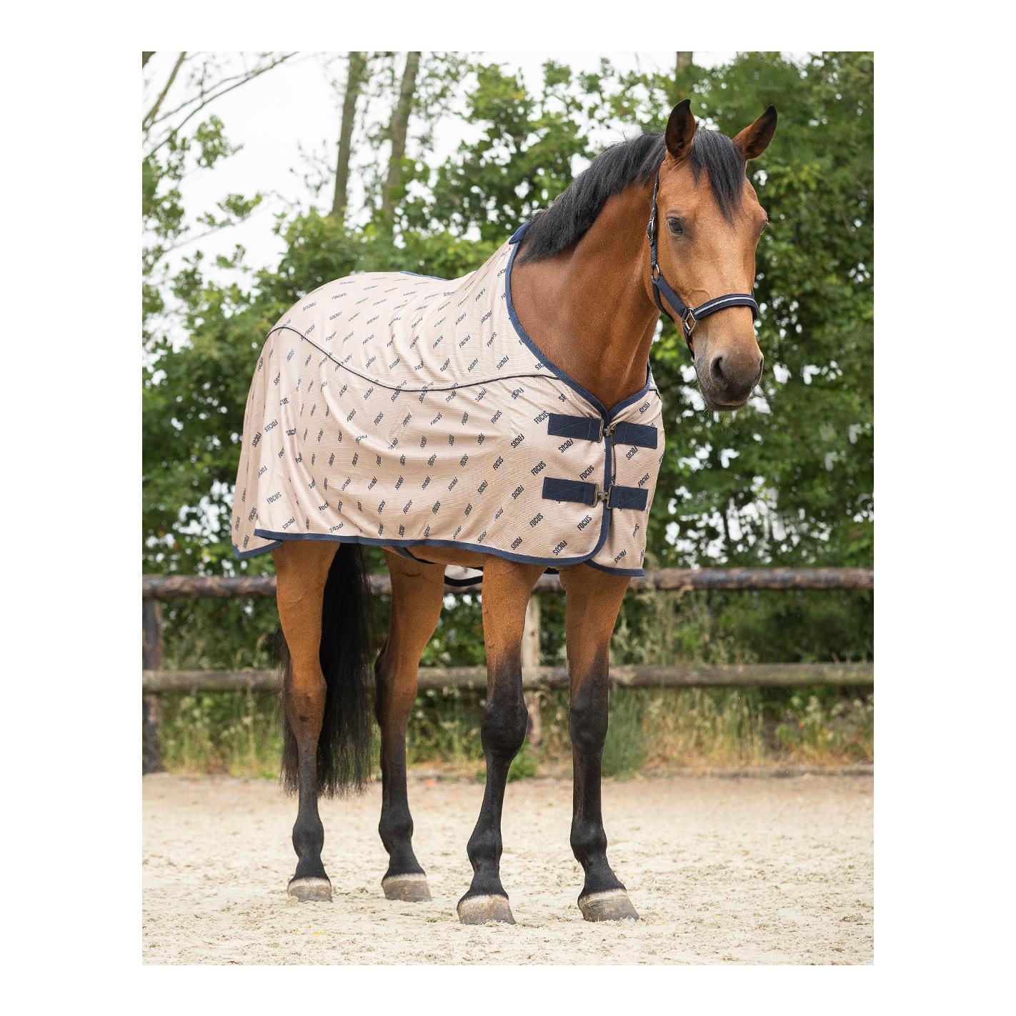 Fliegendecke Summer Focus