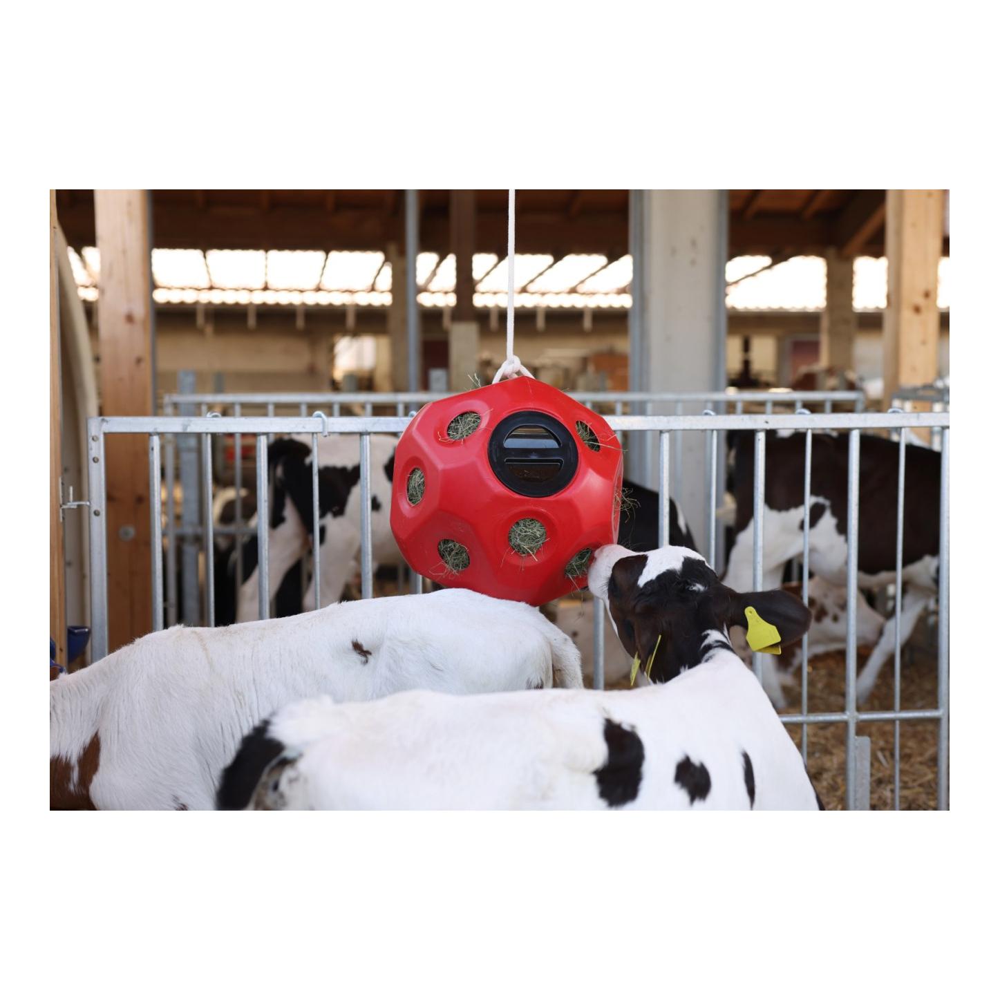 Balle de jeu alimentaire HeuBoy - bleu