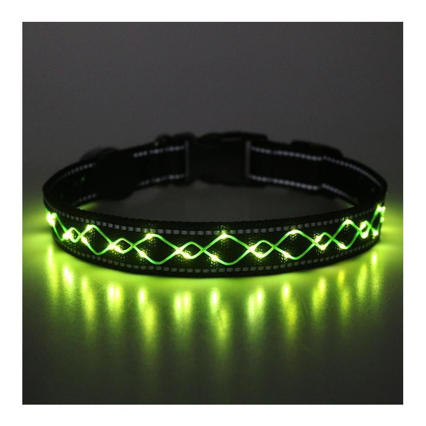 Collier lumineux pour chien "Beauty"