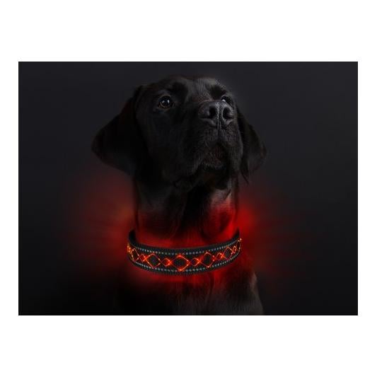 Leucht-Hundehalsband "Beauty"