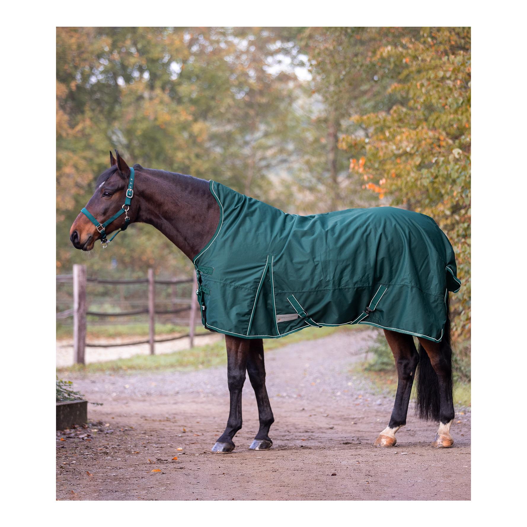 Outdoordecke Economic High Neck Light