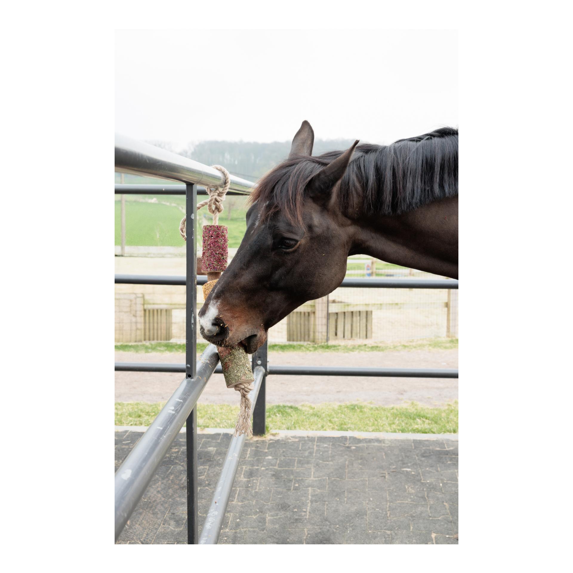 Holz relax Pferdespielzeug De-Stress