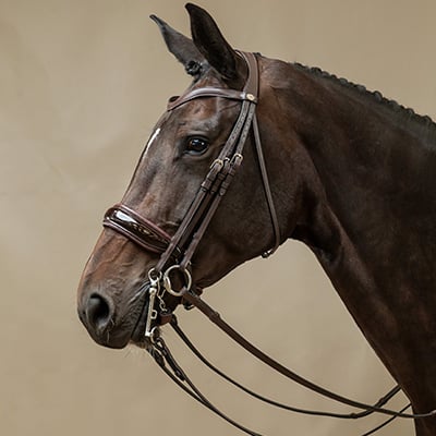 Kandarenzaum Kandarenzaum