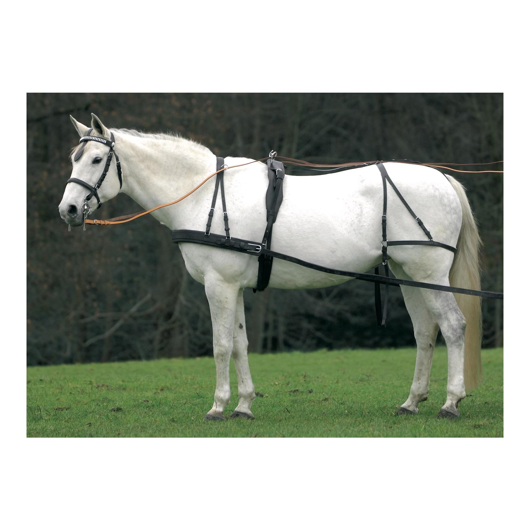 Einspänner-Geschirr Economic - schwarz