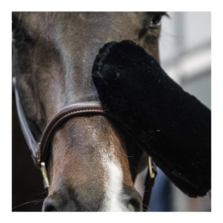 Fell Putzhandschuh - schwarz