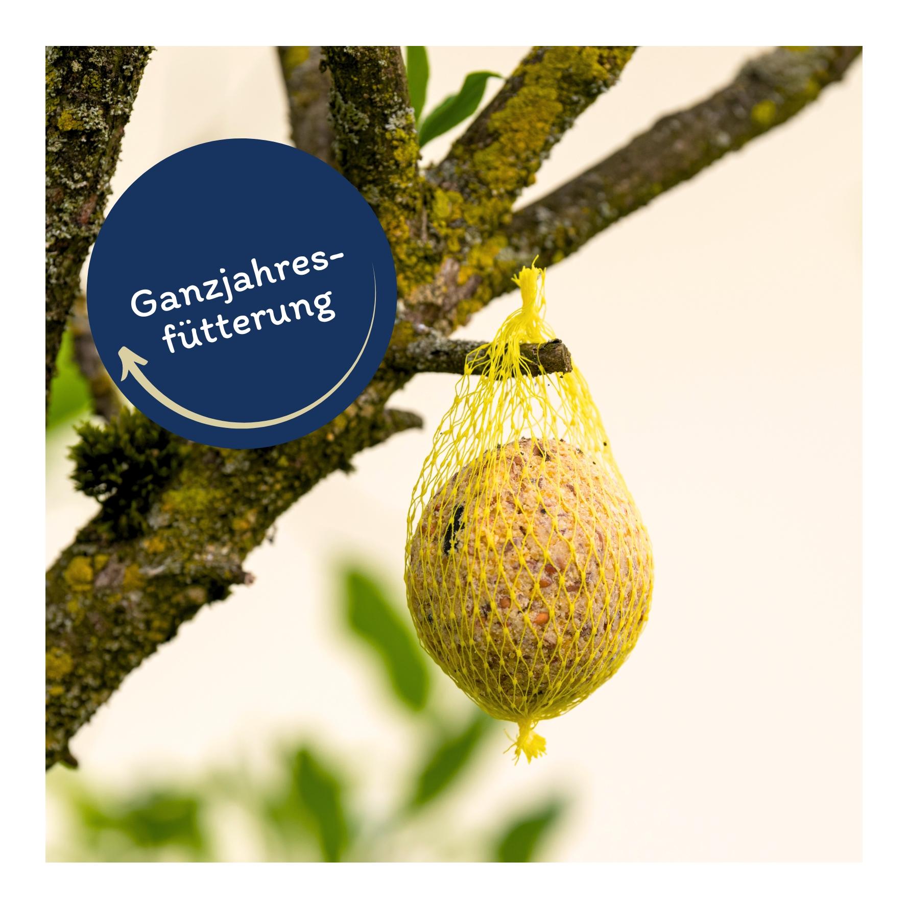 Meisenknödel mit Netz 