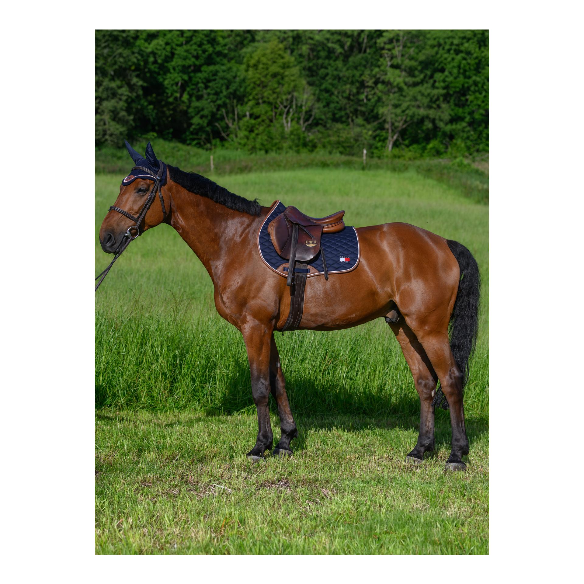 Schabracke Princeton