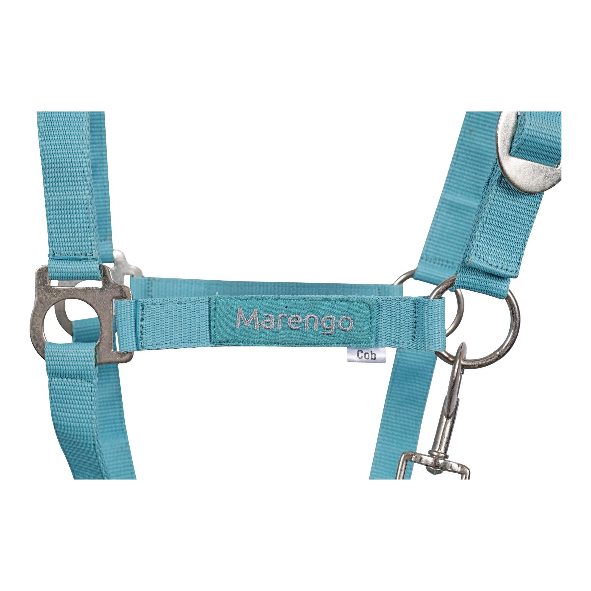 Nylonhalfter Basic Nylonhalfter Basic