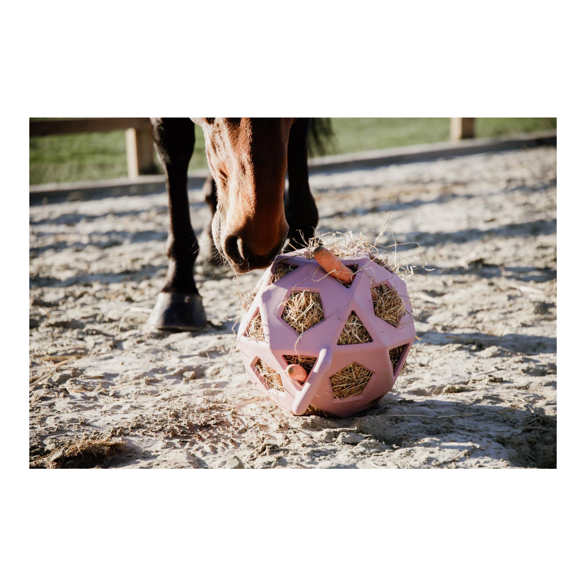 Relax Horse Spiel & Heuball Relax Horse Spiel & Heuball