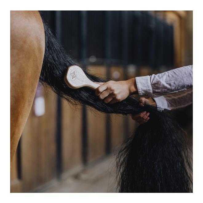 Brosse pour crinière