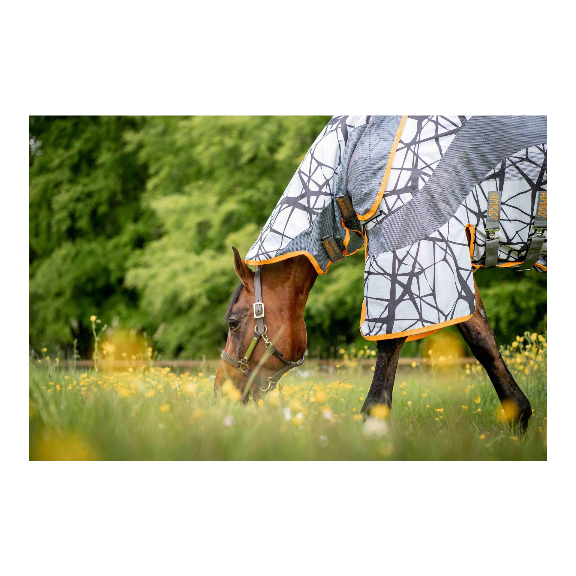 Fliegendecke Amigo 3-in-1 CamoFly Fliegendecke Amigo 3-in-1 CamoFly