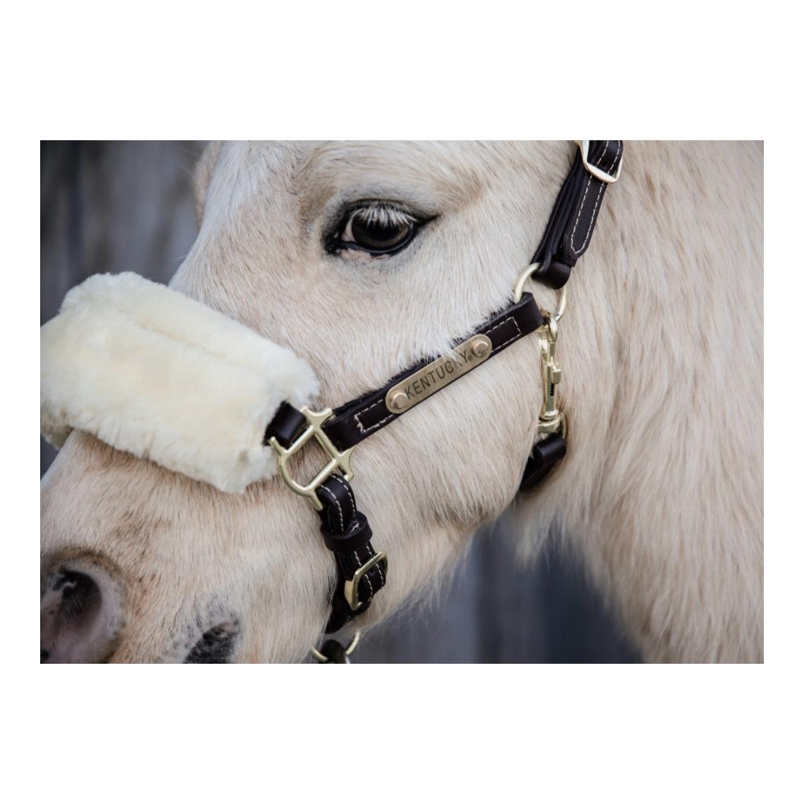 Pony Lederhalfter - braun Pony Lederhalfter - braun