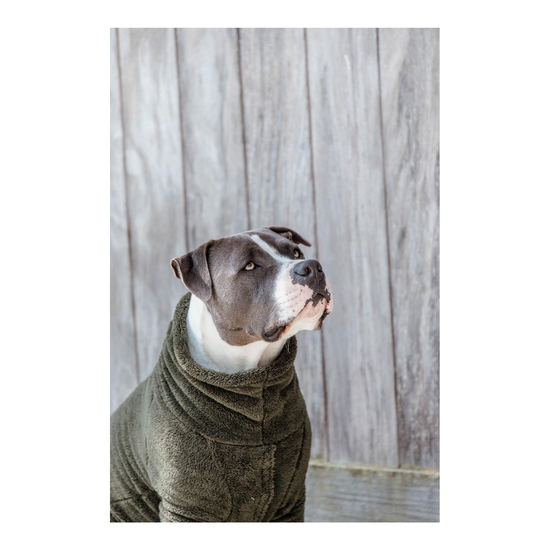 Hundepullover Teddy Fleece - Pine Green Hundepullover Teddy Fleece - Pine Green
