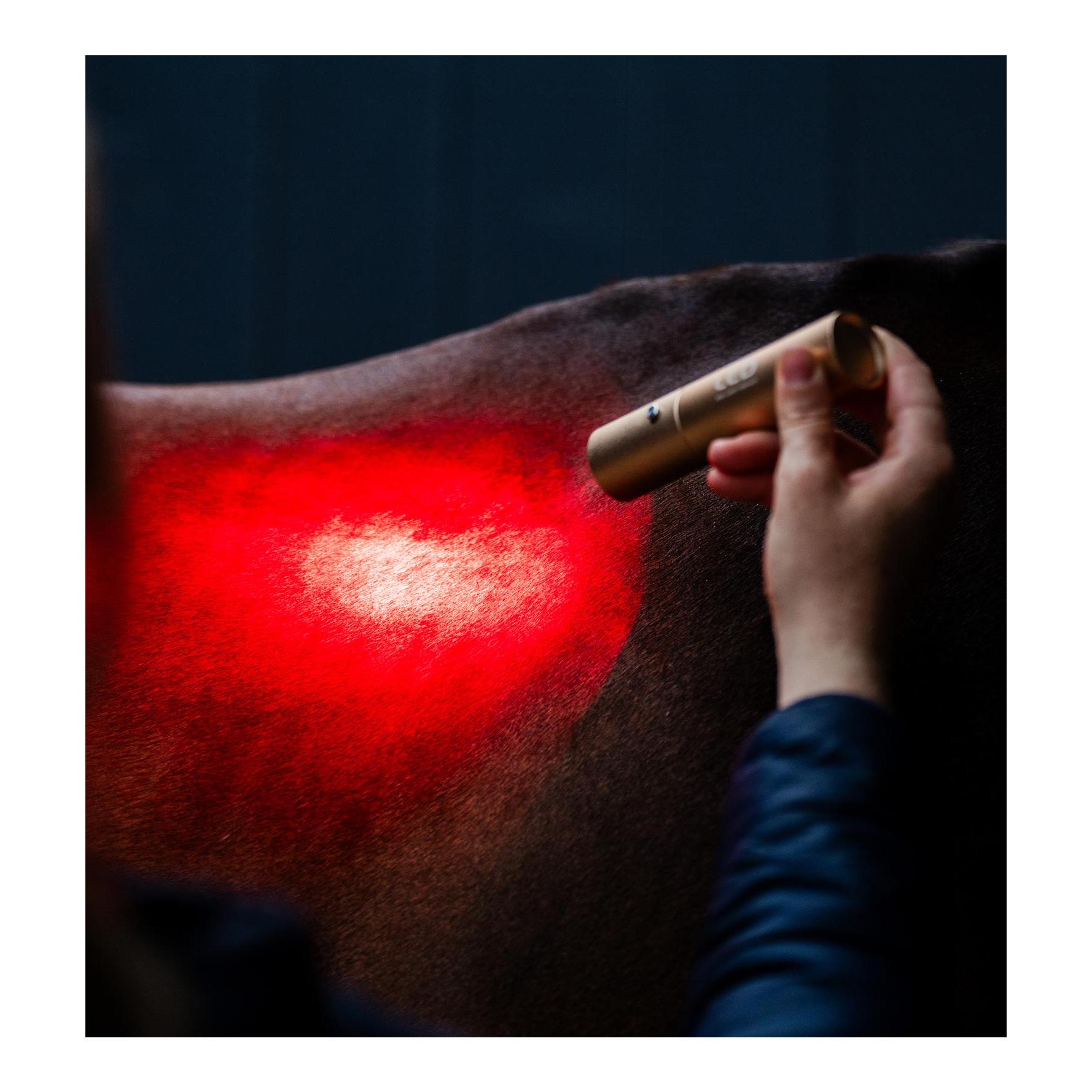 Horseware Bâton thérapeutique LED Thérapie par lumière rouge LED