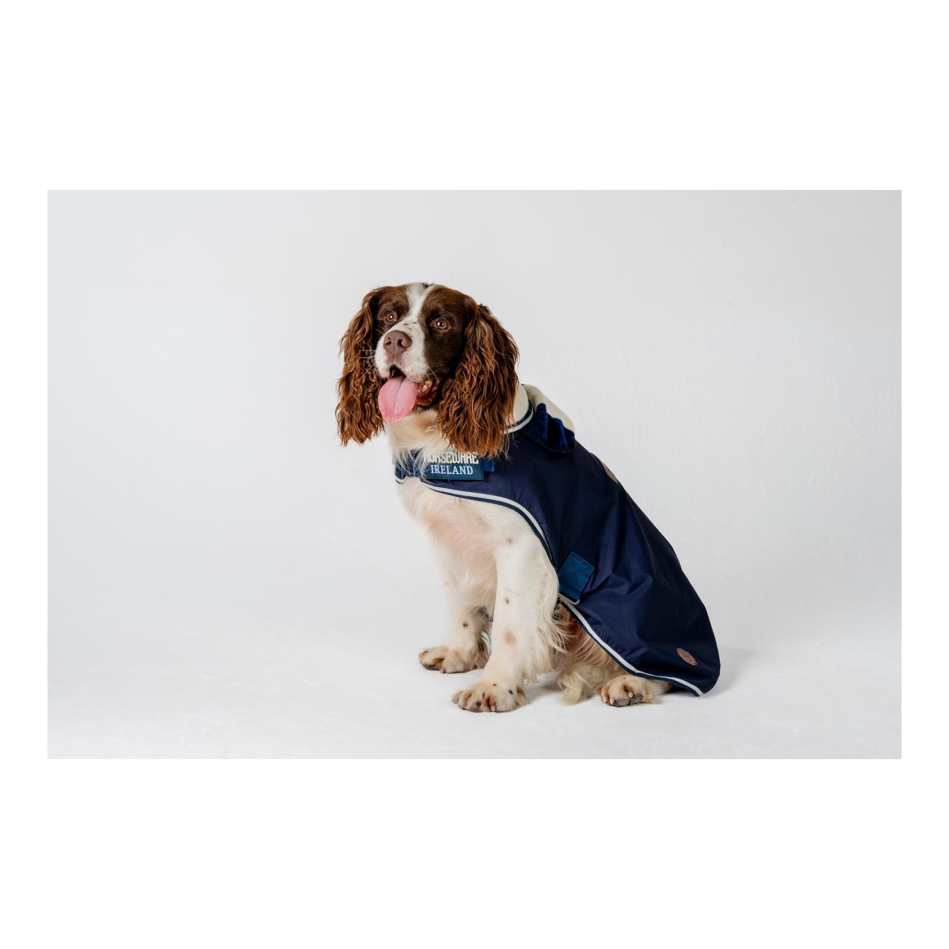 Hundedecke Newmarket