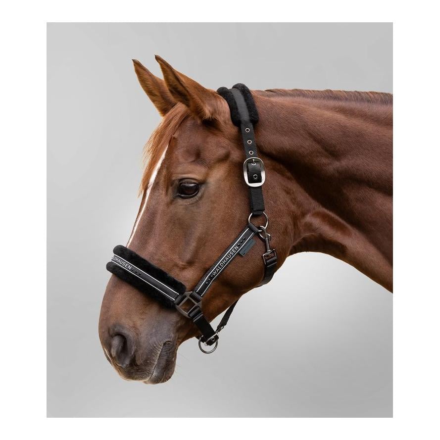Halfter Elegant