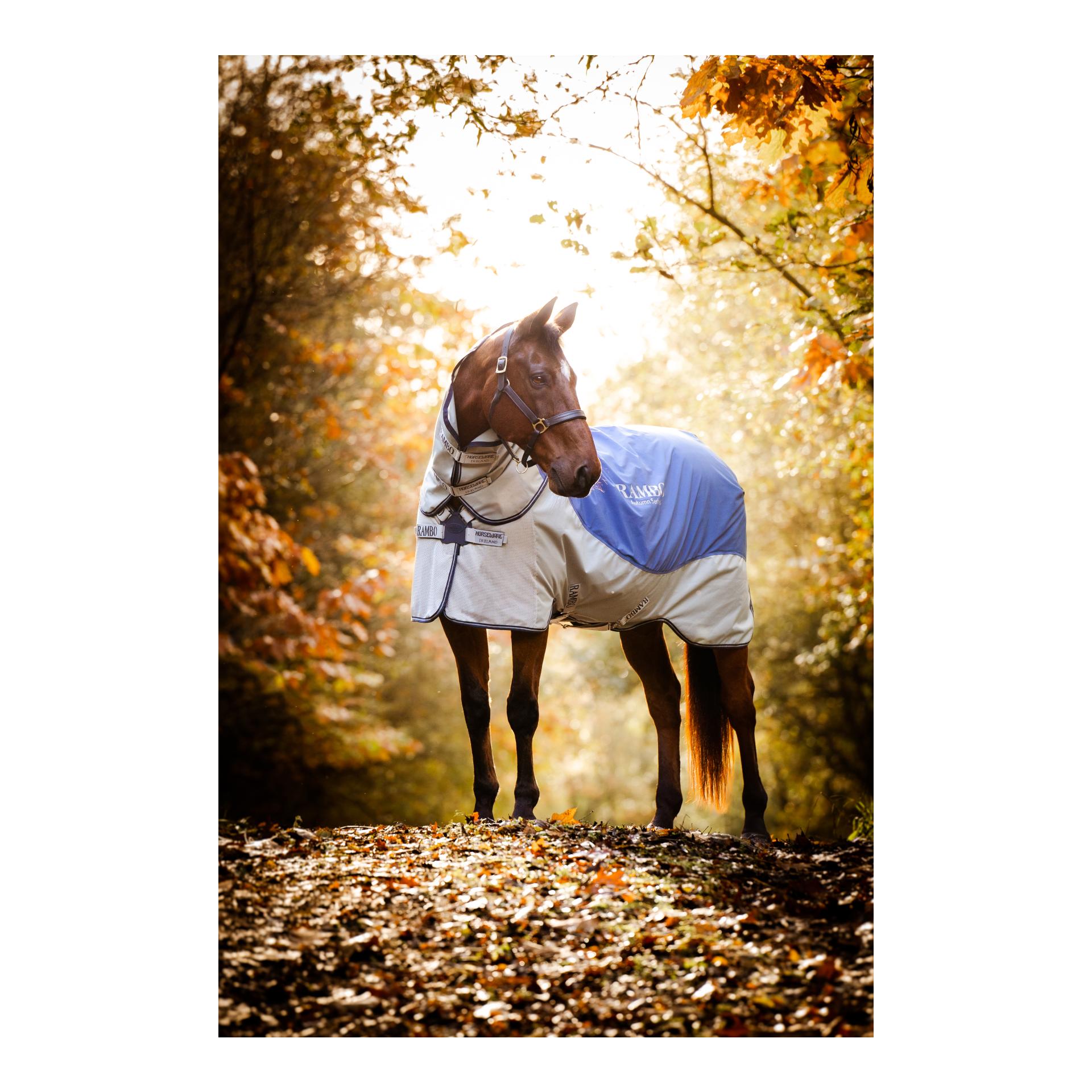 Weidedecke Rambo Autumn Series - navy/grey Weidedecke Rambo Autumn Series - navy/grey